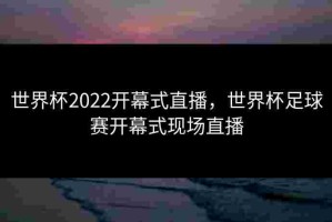 世界杯2022开幕式直播，世界杯足球赛开幕式现场直播