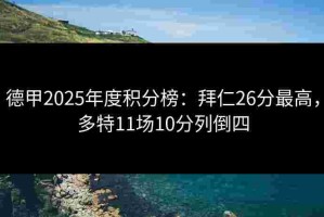 德甲2025年度积分榜：拜仁26分最高，多特11场10分列倒四