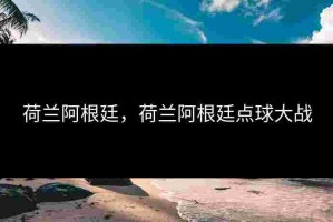 荷兰阿根廷，荷兰阿根廷点球大战