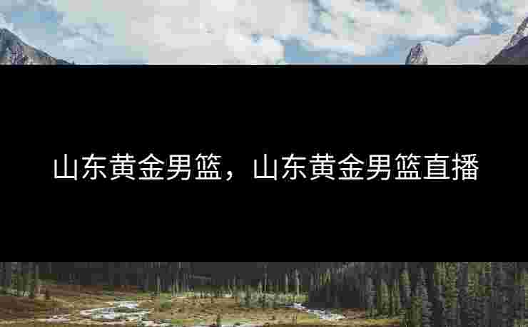 山东黄金男篮，山东黄金男篮直播
